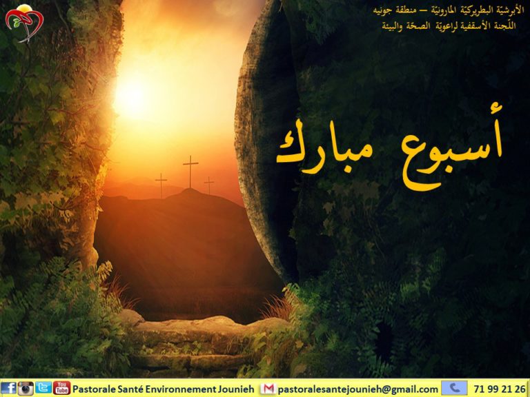 مواجهة الألم بالتضامن